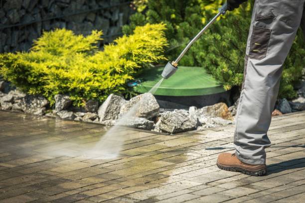 Best Solar Panel Cleaning  in Plum Grove, TX