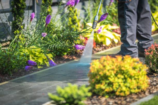 Best Sidewalk and Walkway Cleaning  in Plum Grove, TX