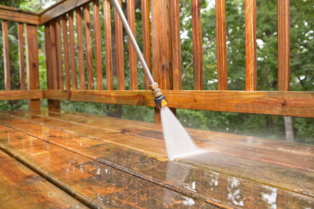 Best Dumpster Area Cleaning  in Plum Grove, TX